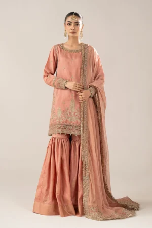 3 Piece Embroidered Raw Silk Suit